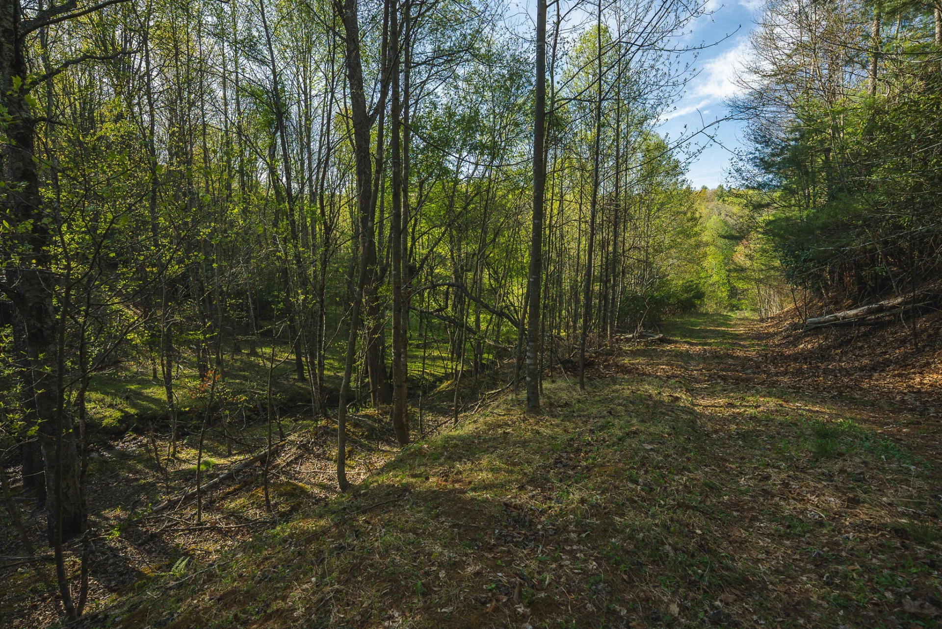 TBD Black Ridge RD SW - Photo 32