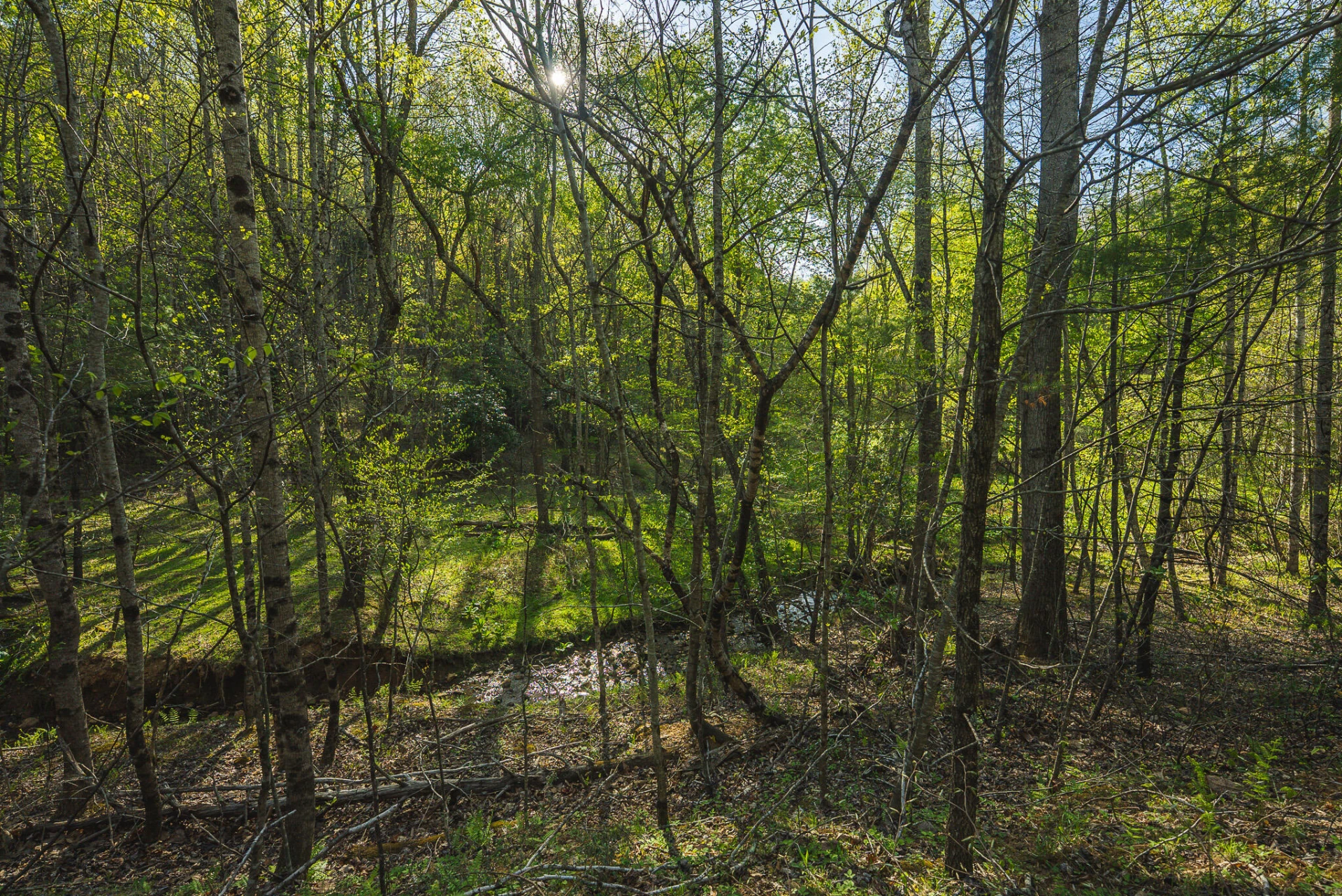 TBD Black Ridge RD SW - Photo 33