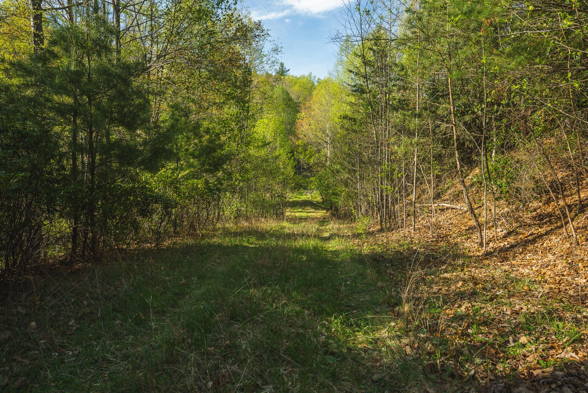 TBD Black Ridge RD SW - Photo 34