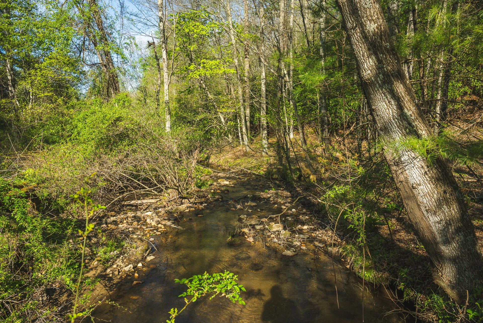 TBD Black Ridge RD SW - Photo 37