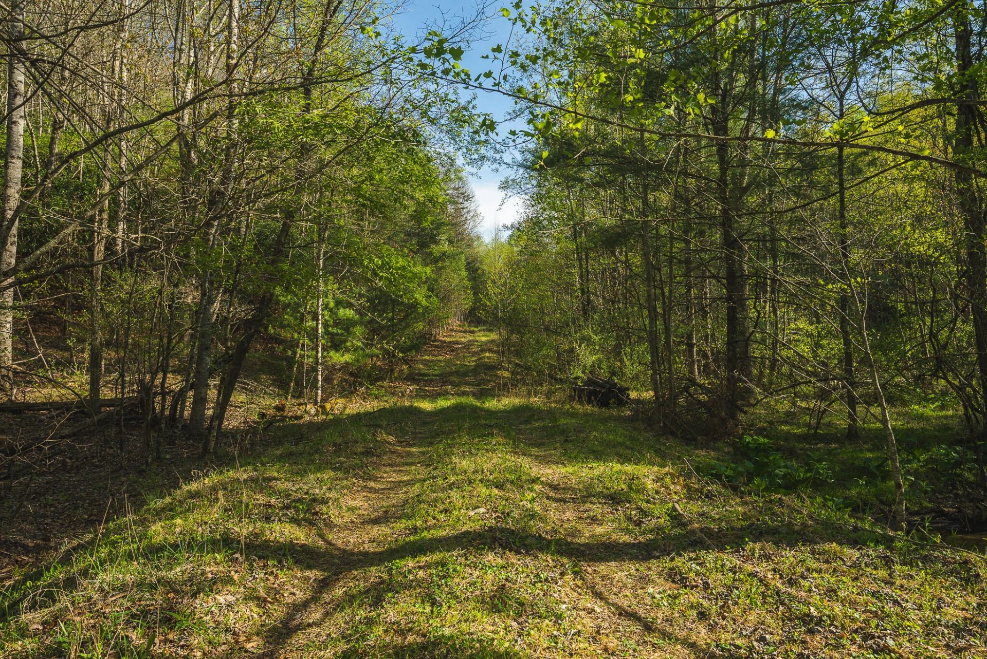 TBD Black Ridge RD SW - Photo 38