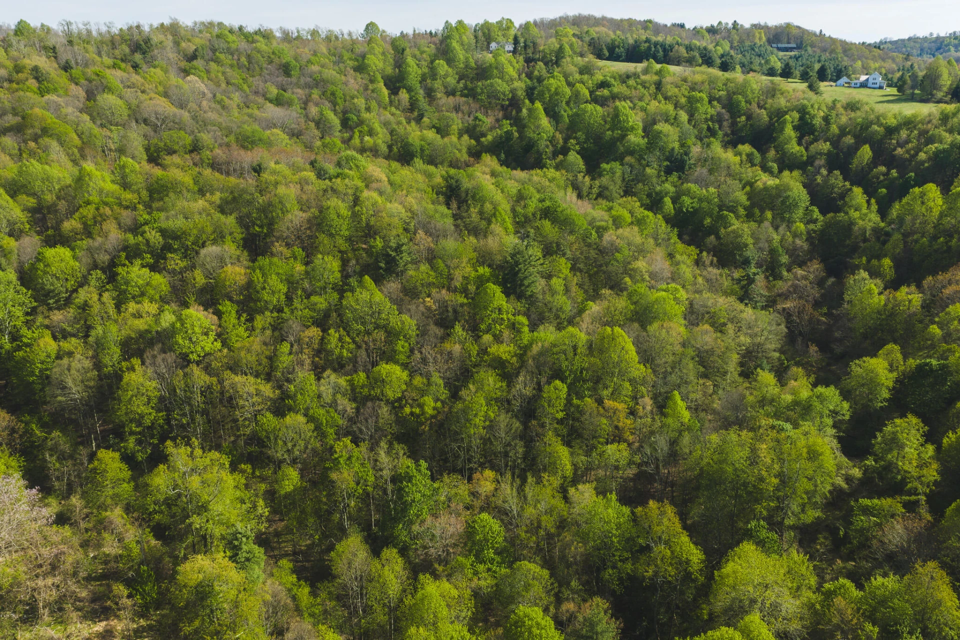 TBD Black Ridge RD SW - Photo 4