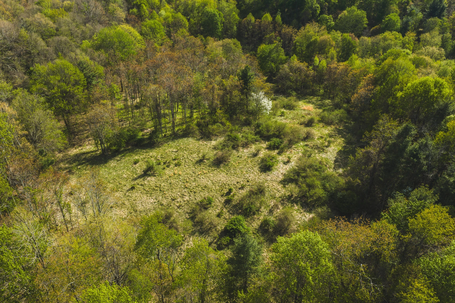 TBD Black Ridge RD SW - Photo 5
