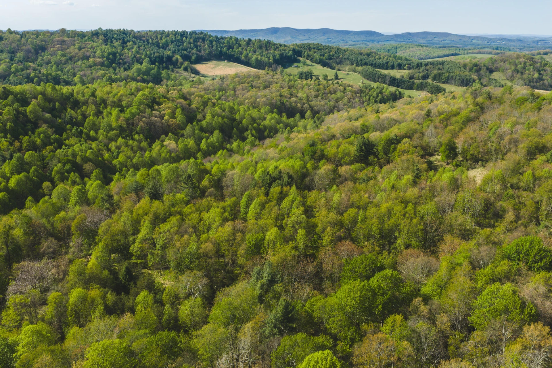 TBD Black Ridge RD SW - Photo 6