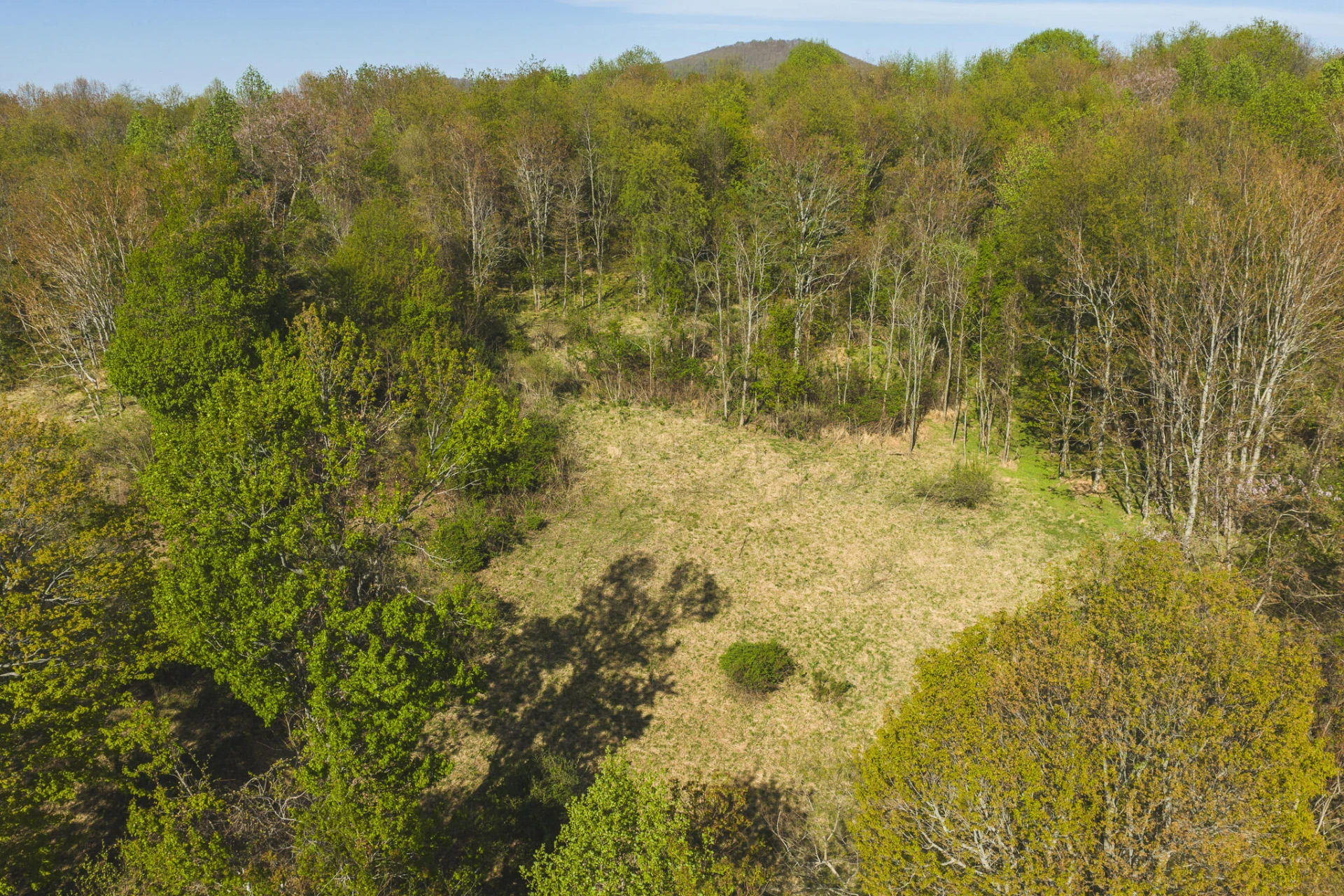 TBD Black Ridge RD SW - Photo 8
