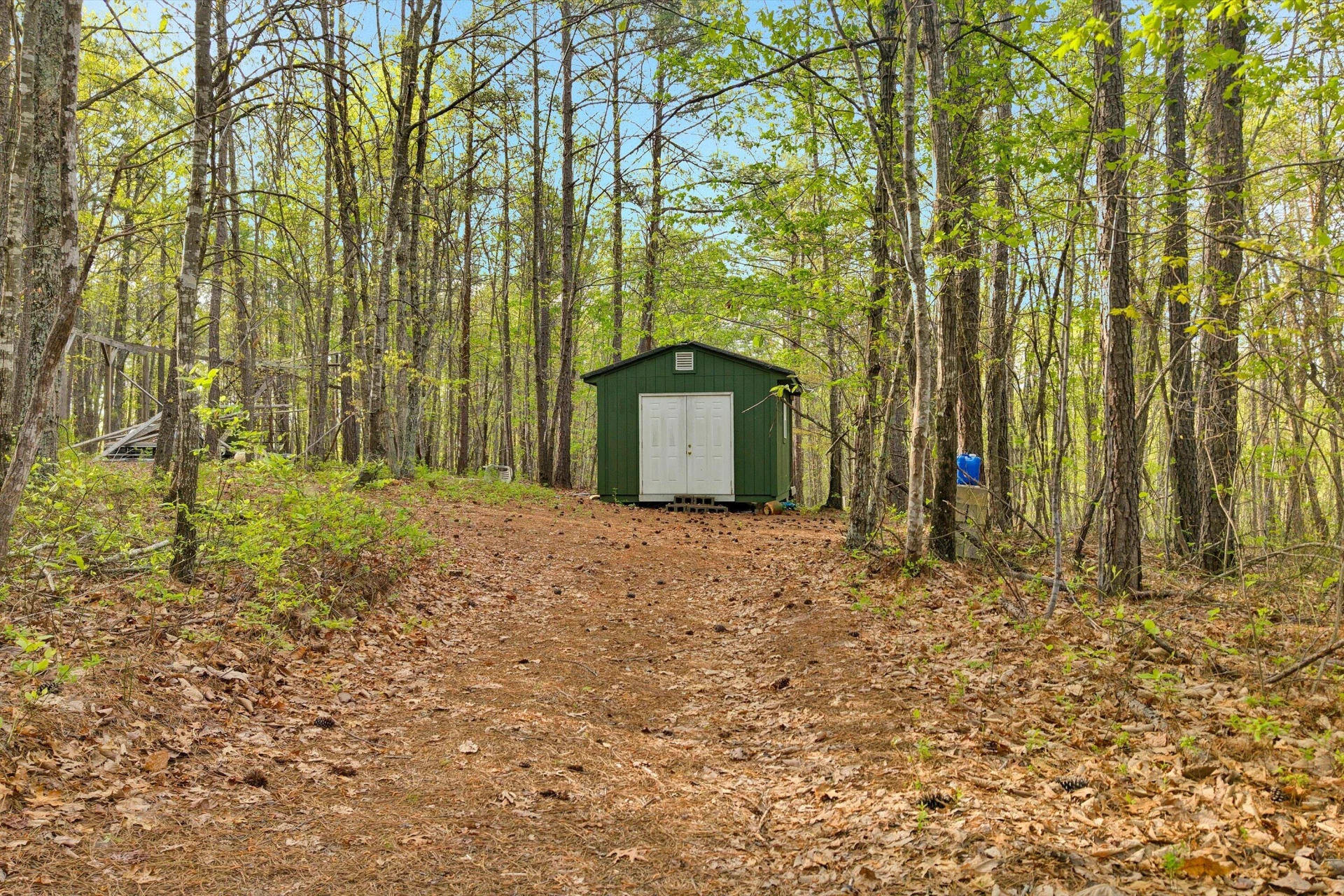 0 Roach RD - Photo 10