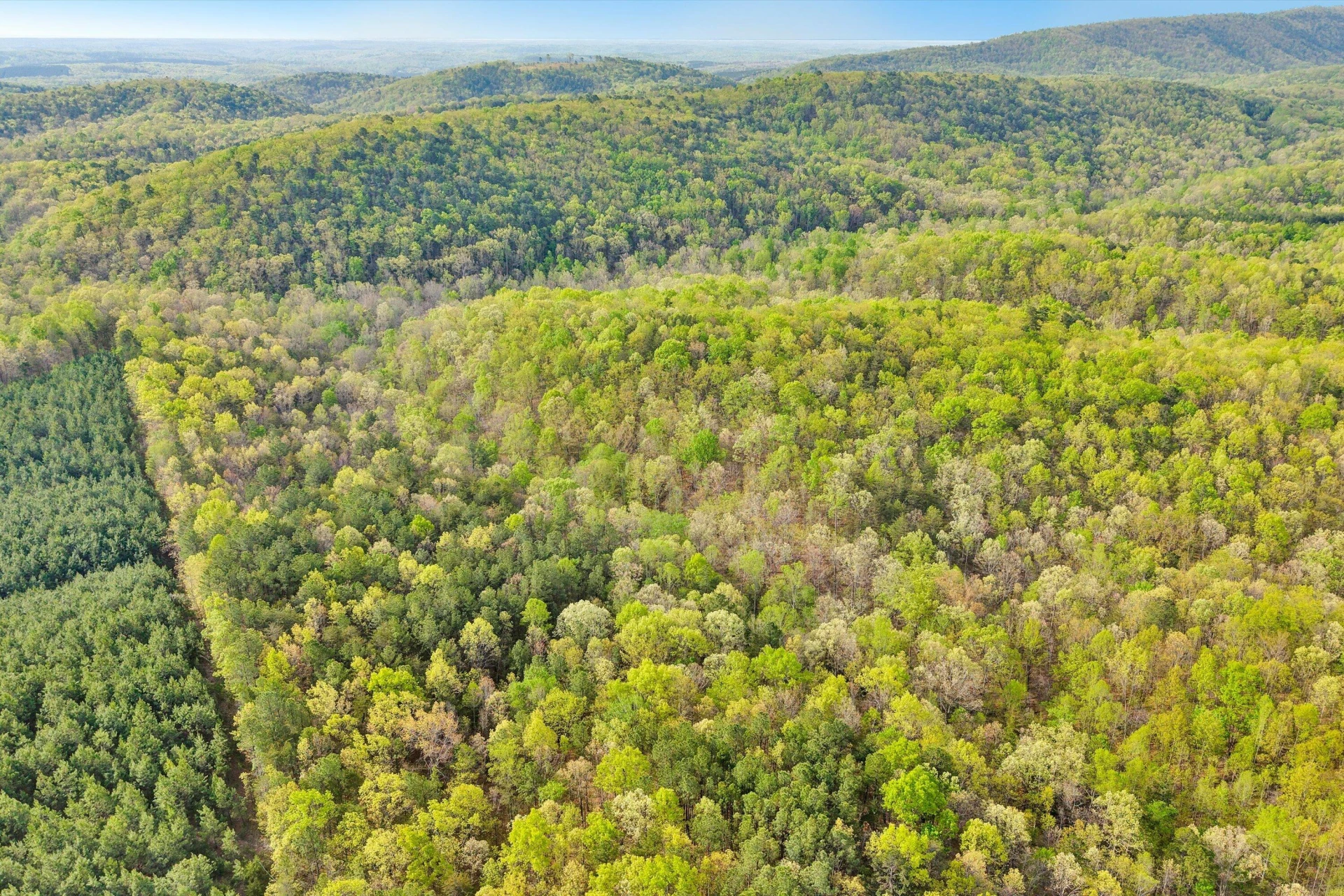 0 Roach RD - Photo 12