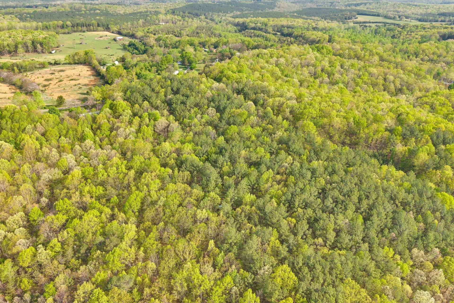 0 Roach RD - Photo 13