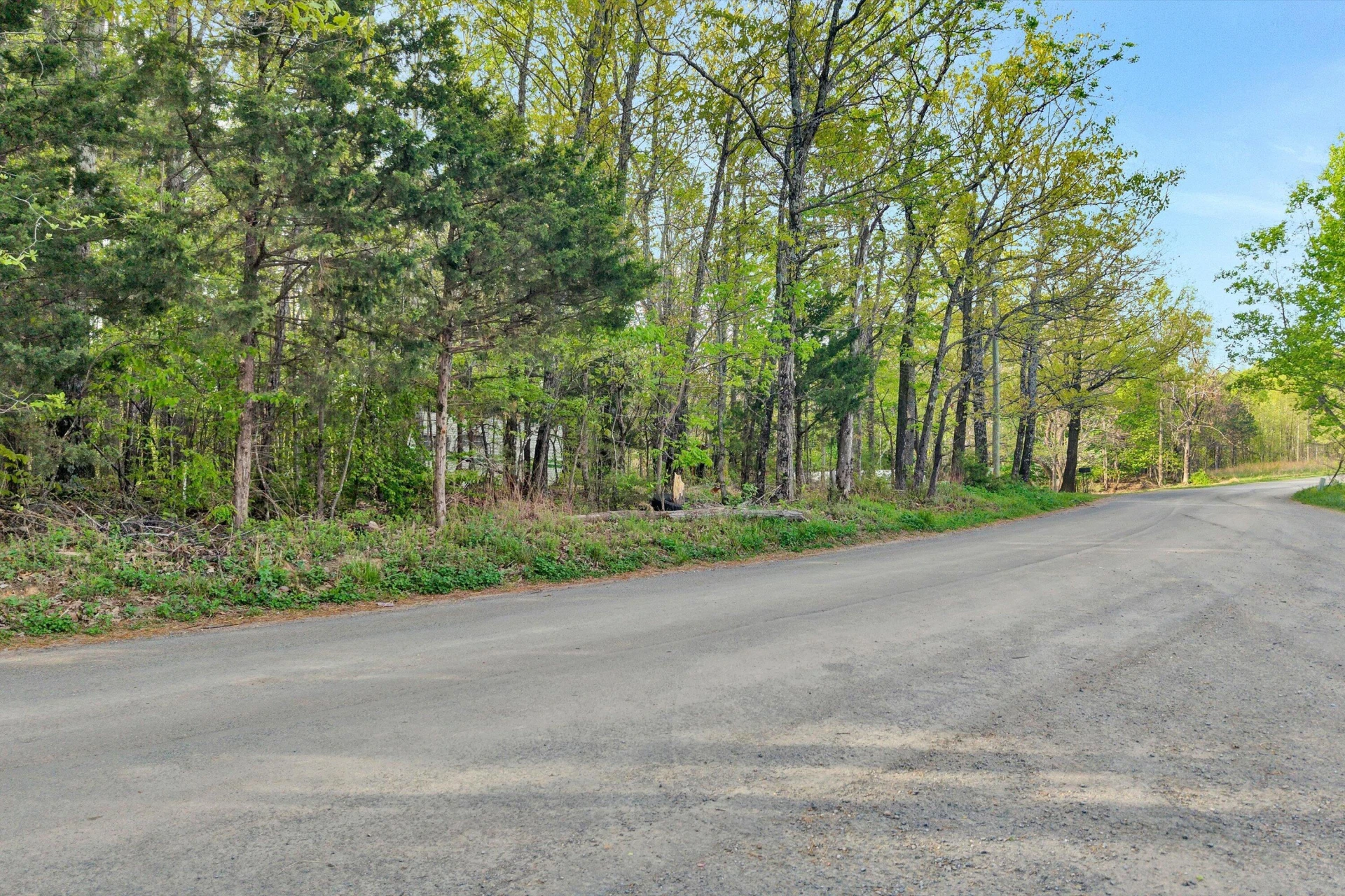 0 Roach RD - Photo 4