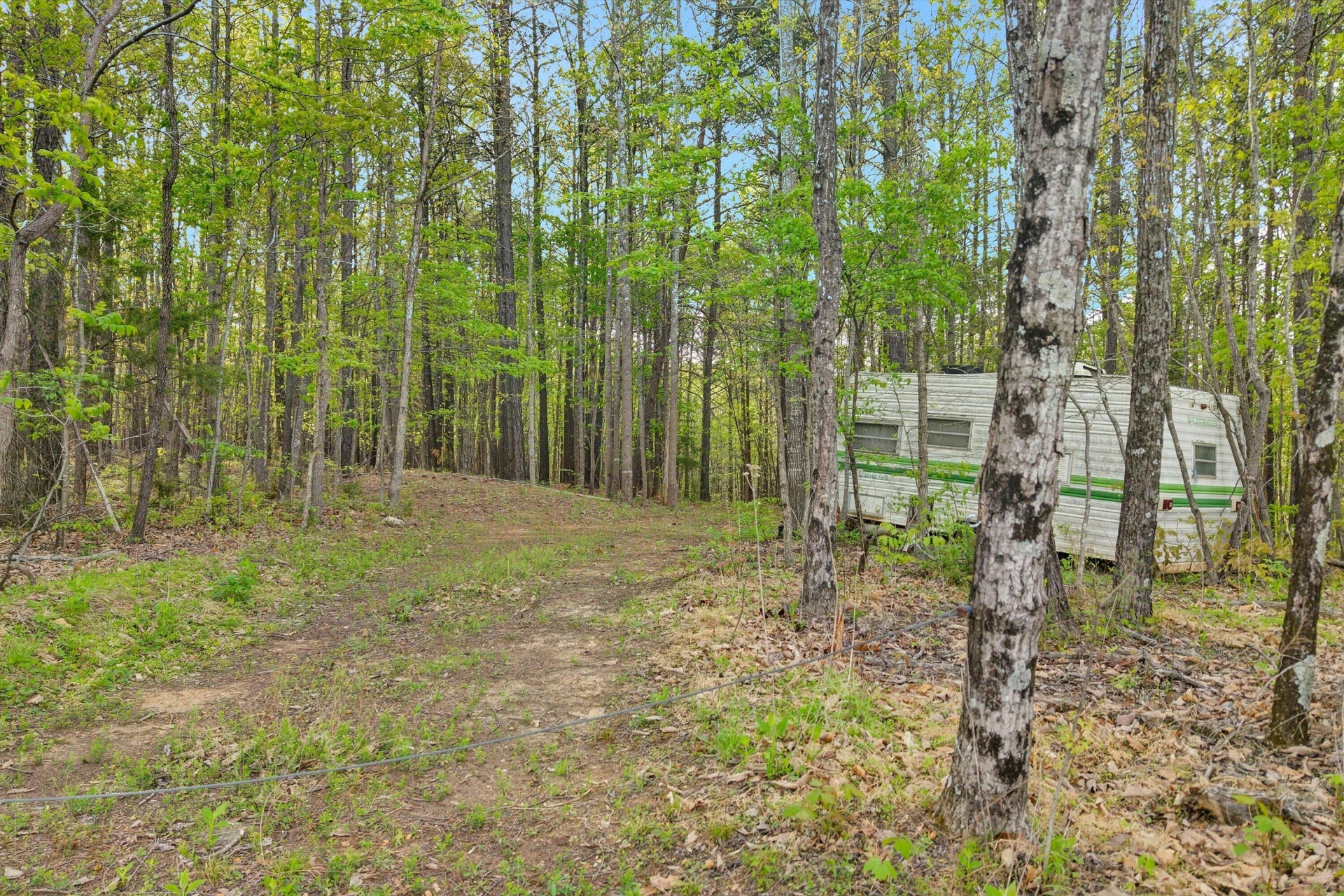 0 Roach RD - Photo 8