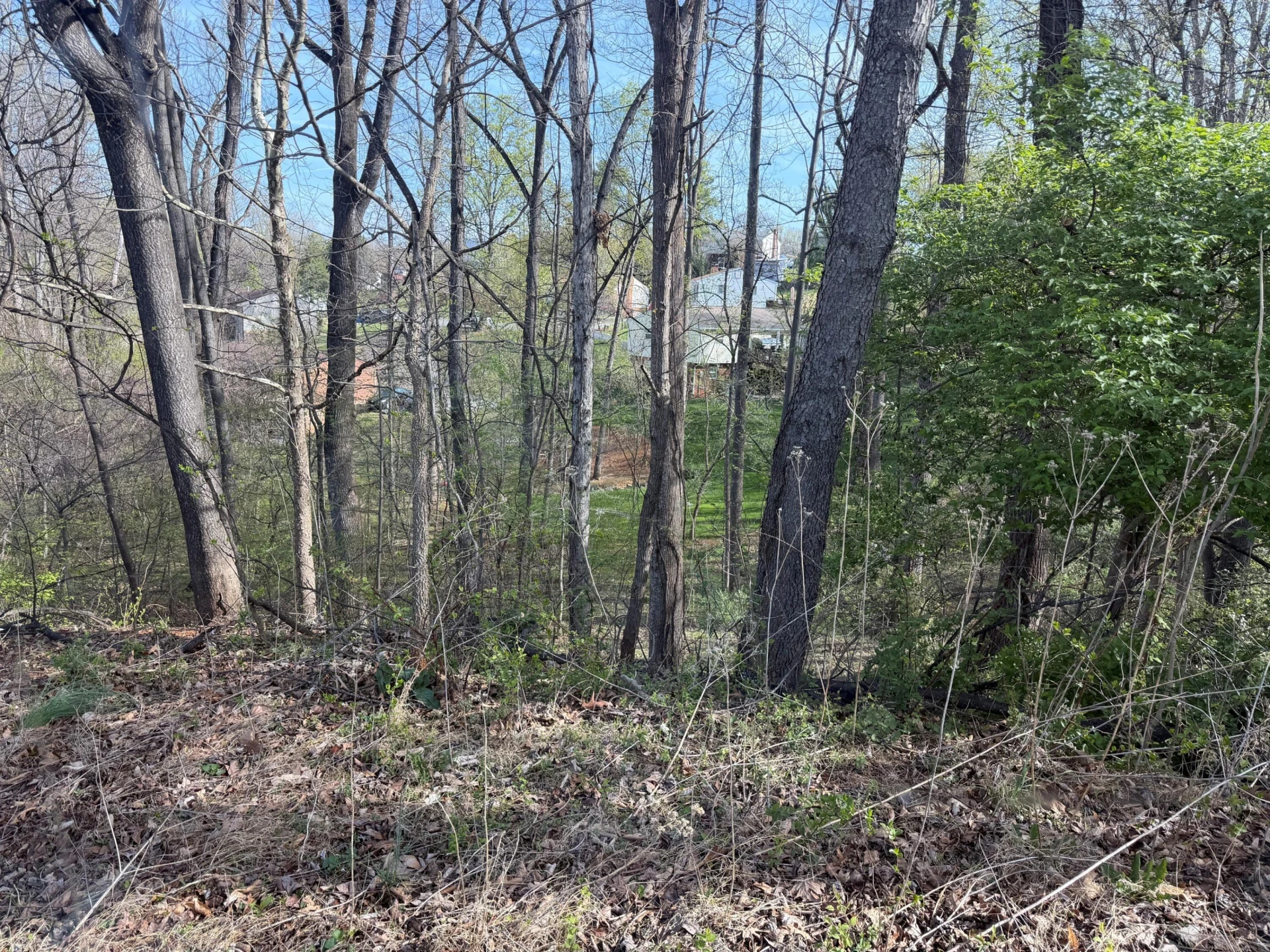 1813 Parker LN