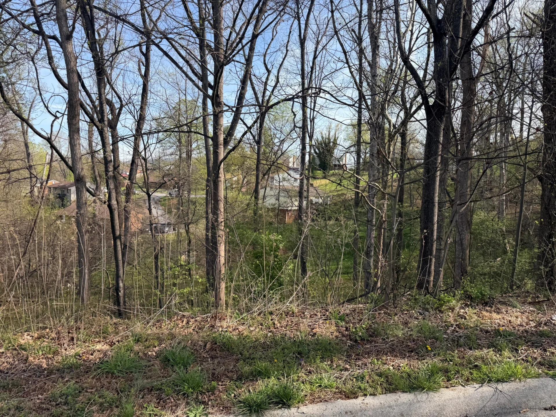 1813 Parker LN - Photo 2
