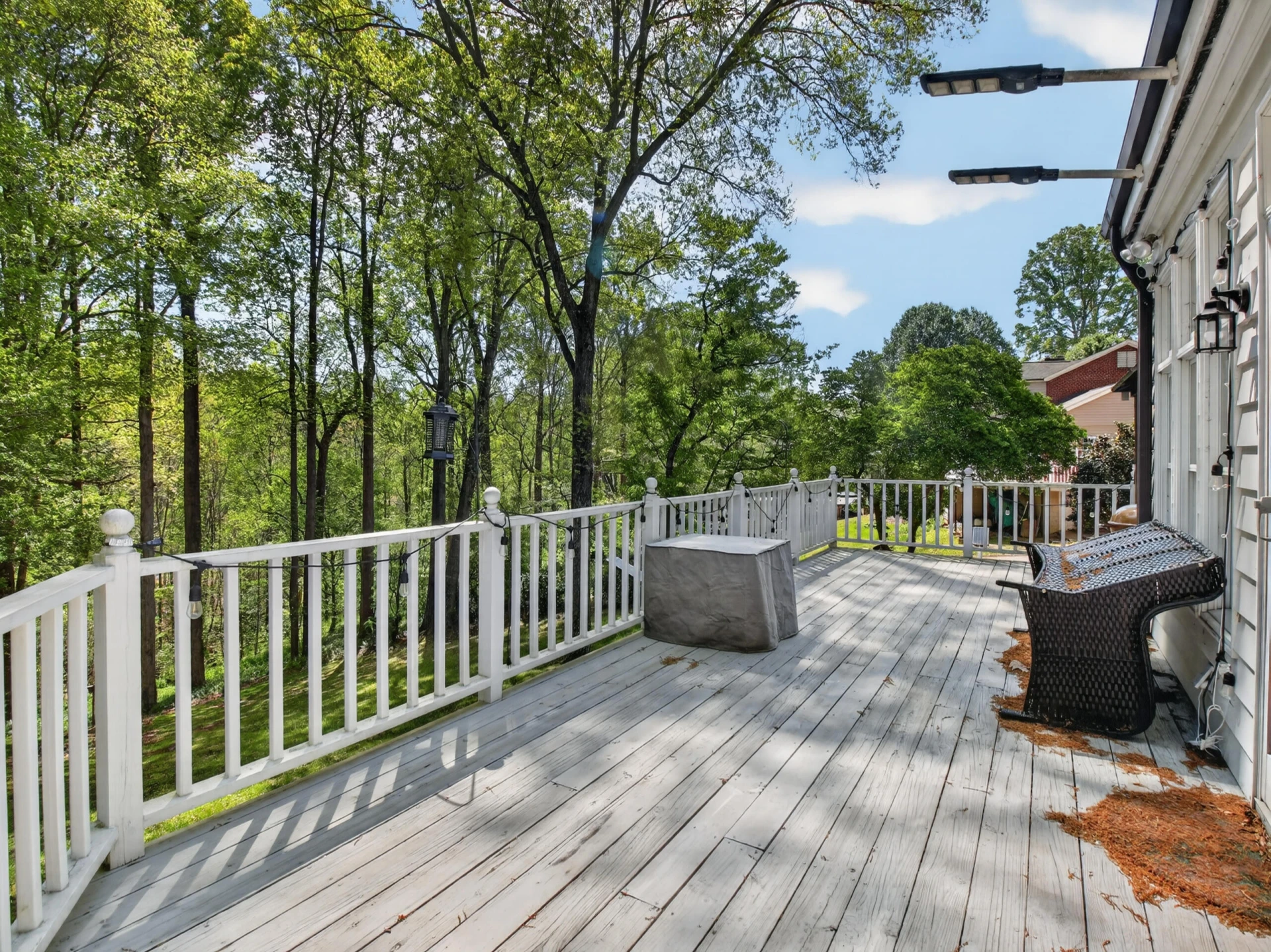 1233 Sam Lions TRL - Photo 45
