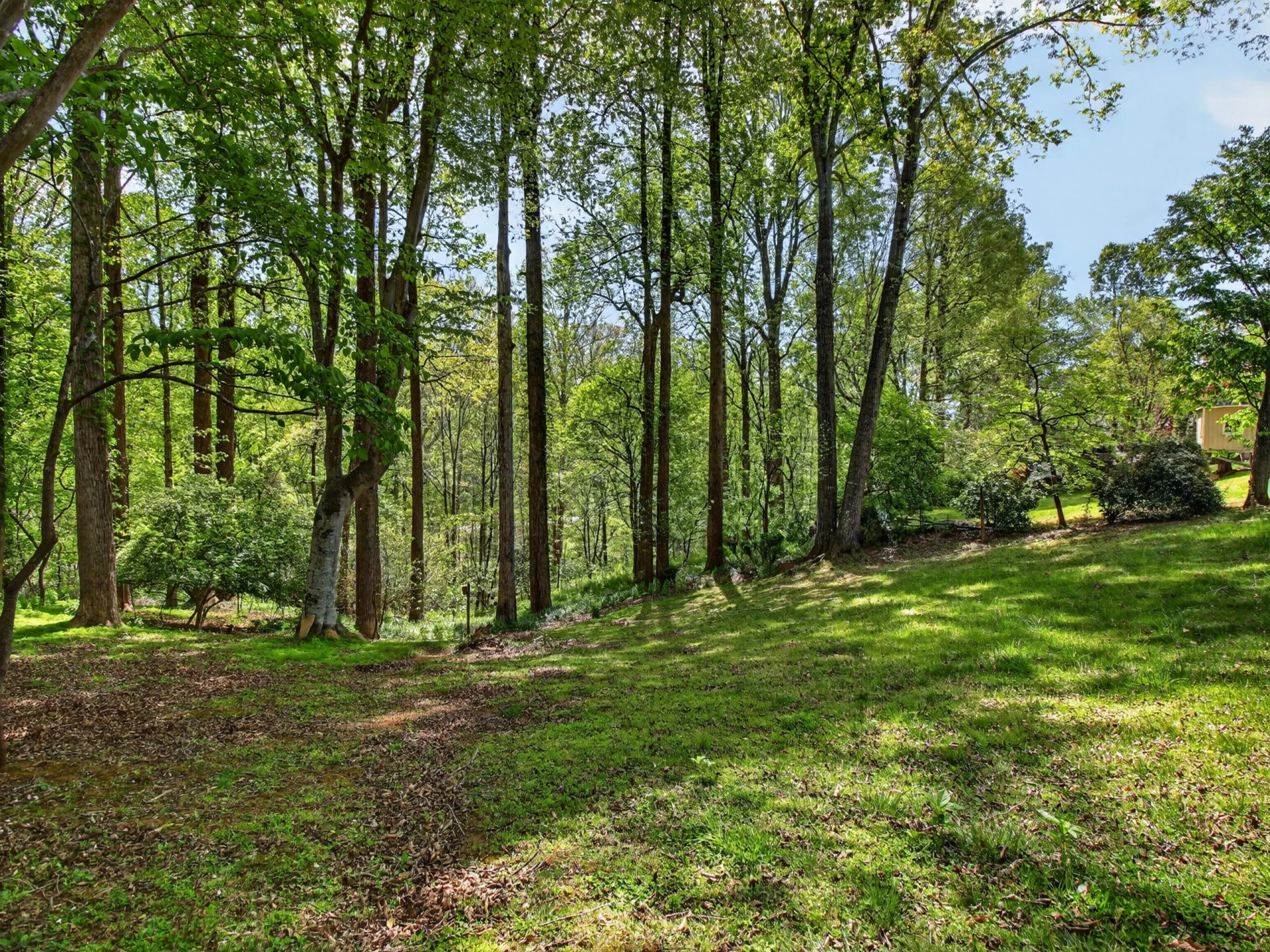 1233 Sam Lions TRL - Photo 49