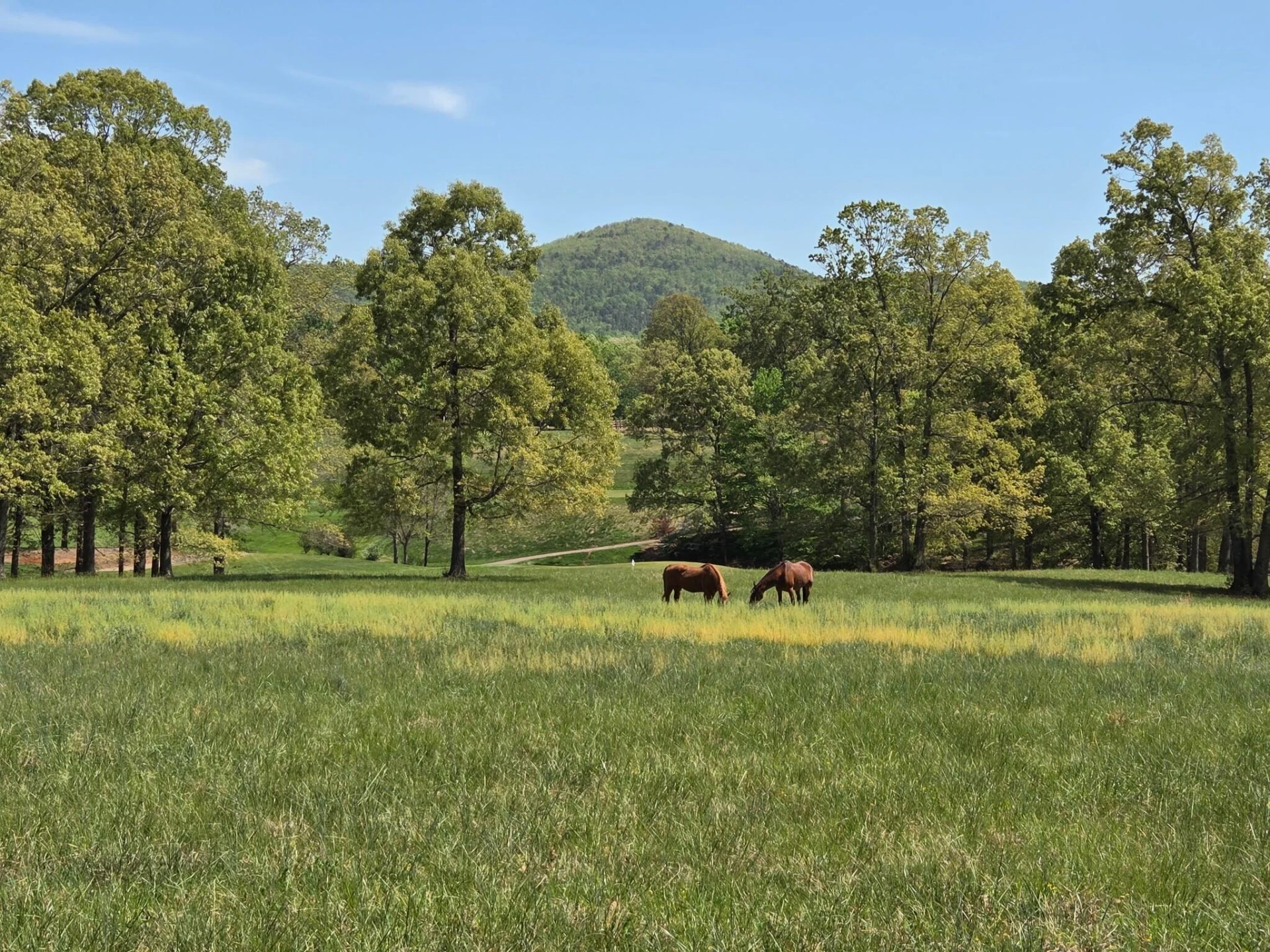 145 Bridleridge RD - Photo 81