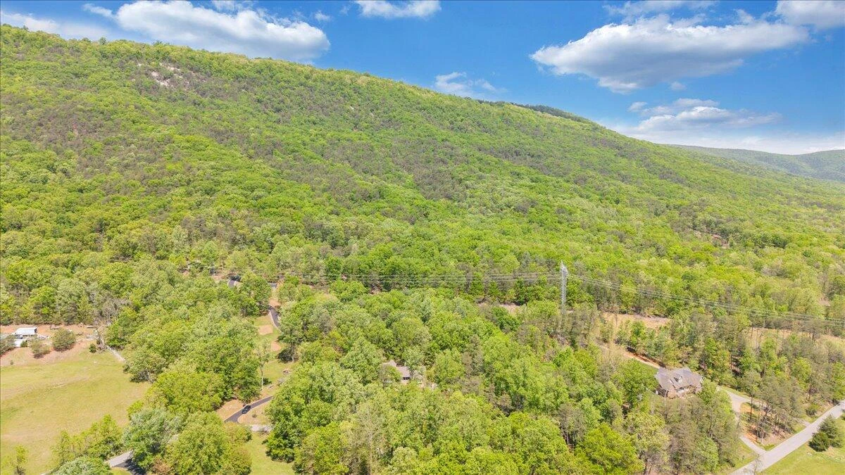 4620 Carvins Cove RD - Photo 95