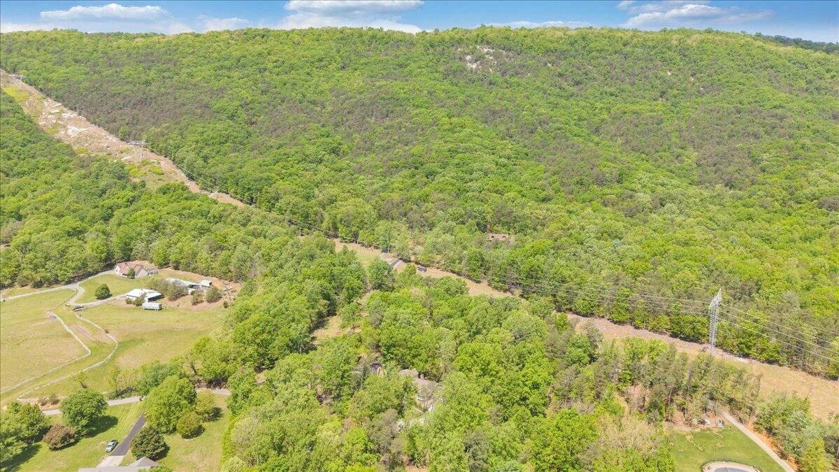 4620 Carvins Cove RD - Photo 96