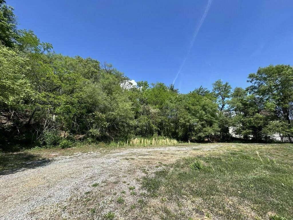 0 Wise AVE SE - Photo 2
