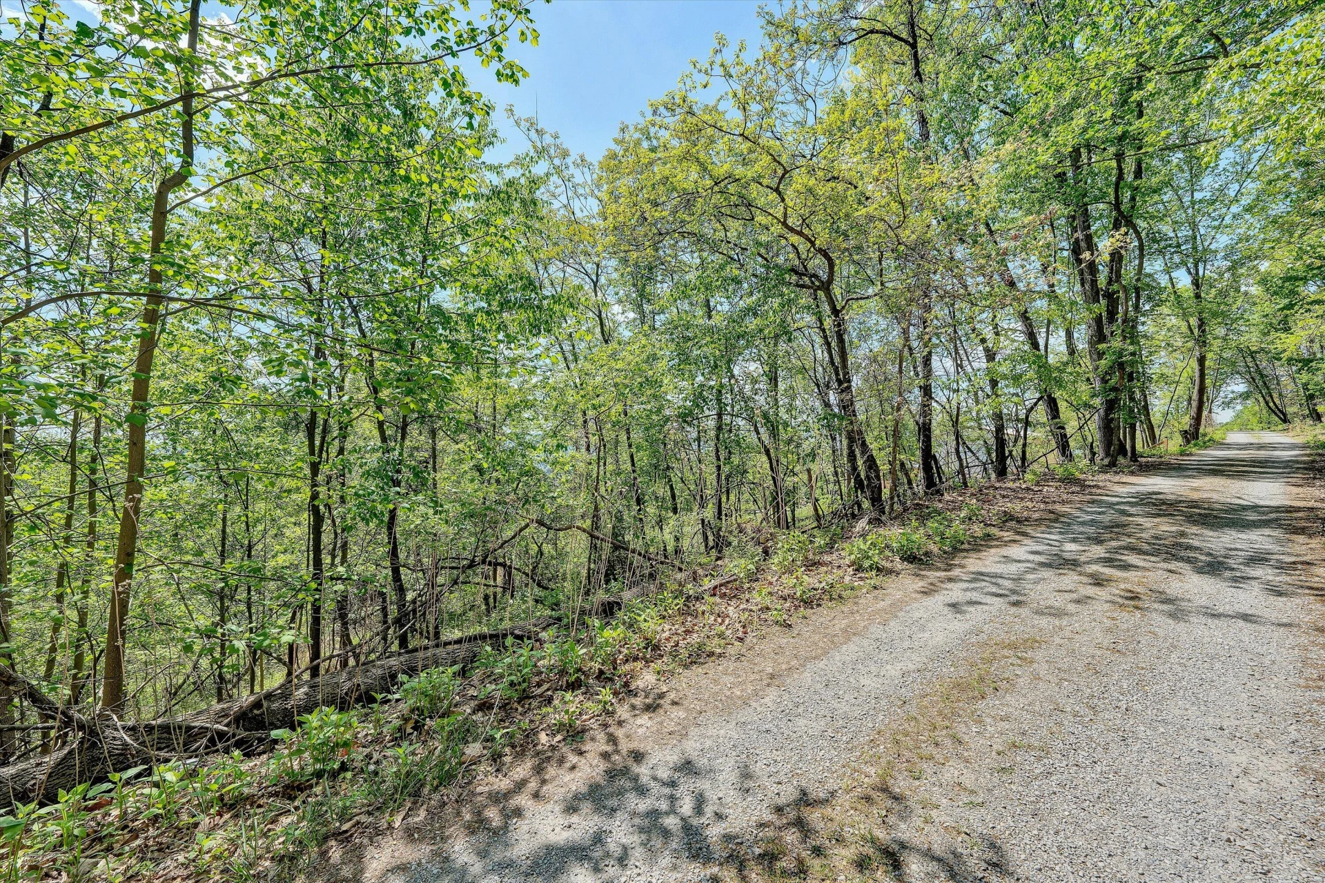 897 Dellwood RD - Photo 45