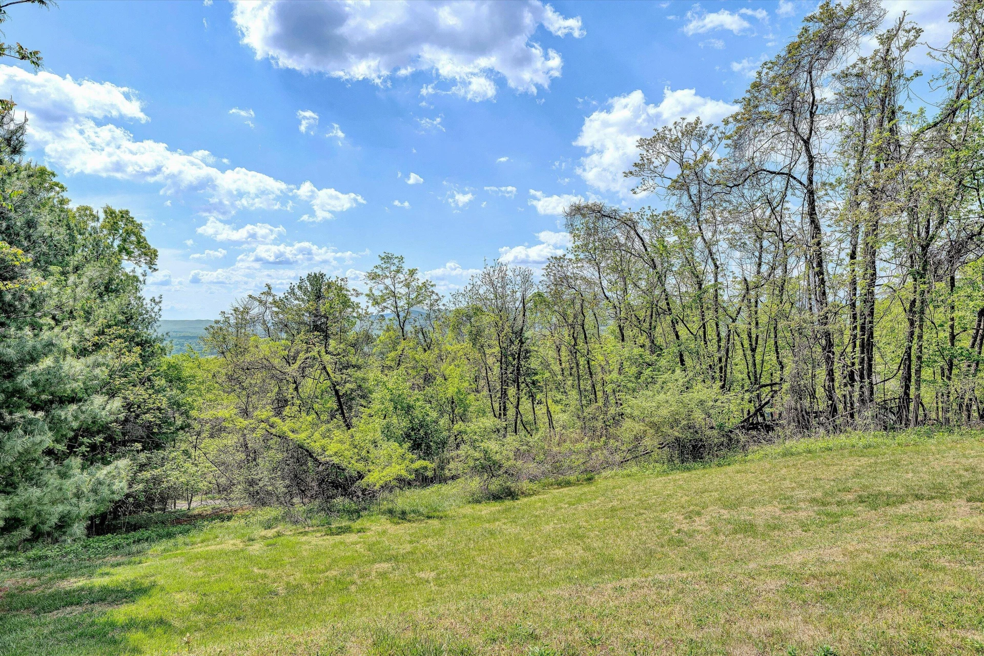 897 Dellwood RD - Photo 43