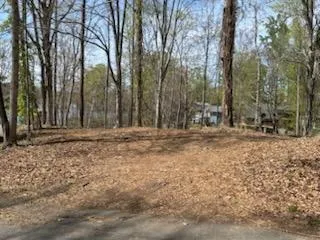 Lot 5 Carlos RD, Union Hall, VA, 24176
