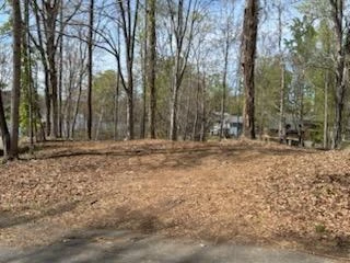 Lot 5 Carlos RD