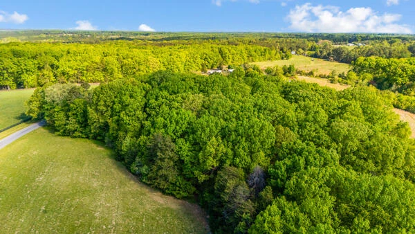 580 Jennings RD - Photo 54