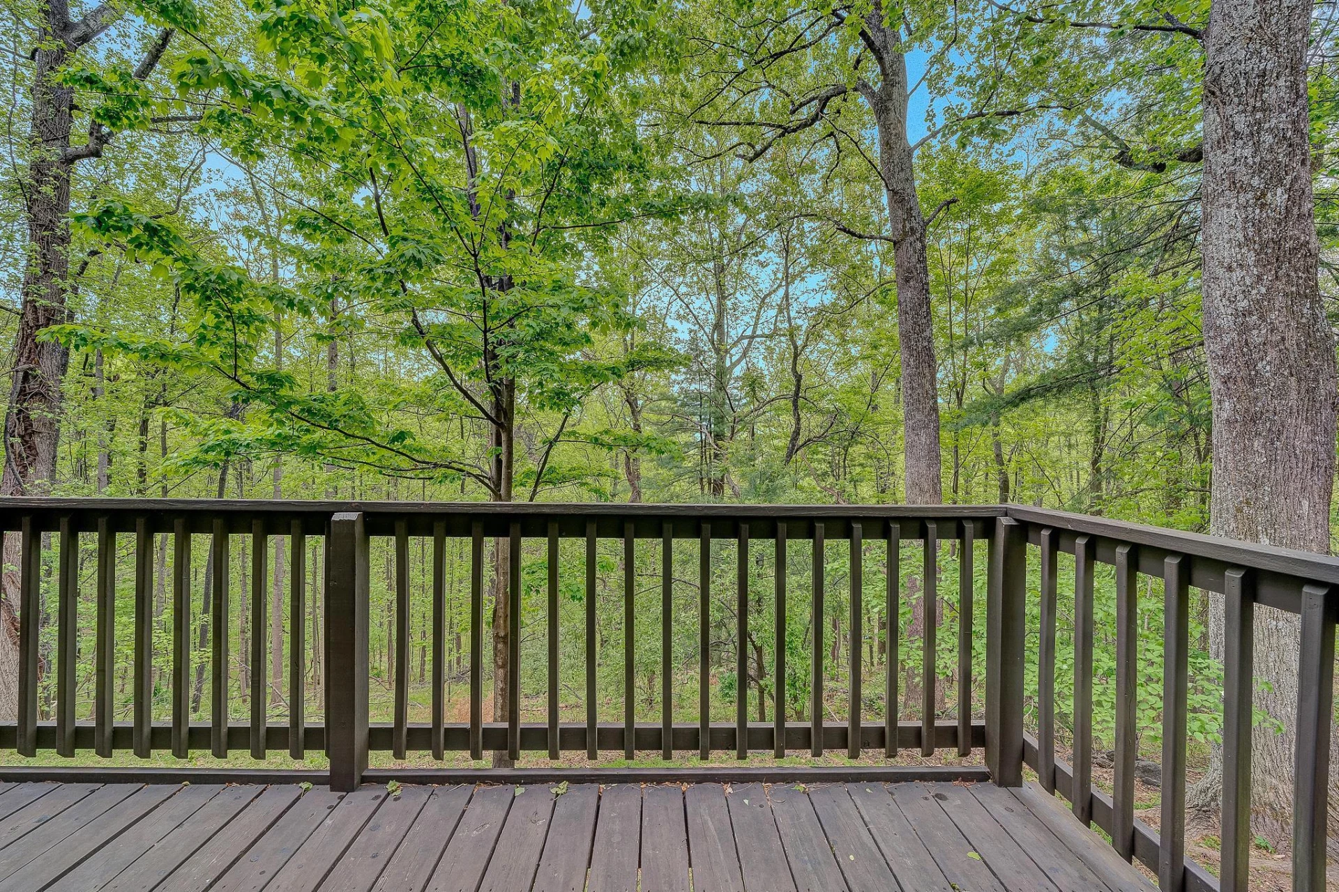 6658 Leffler LN - Photo 53