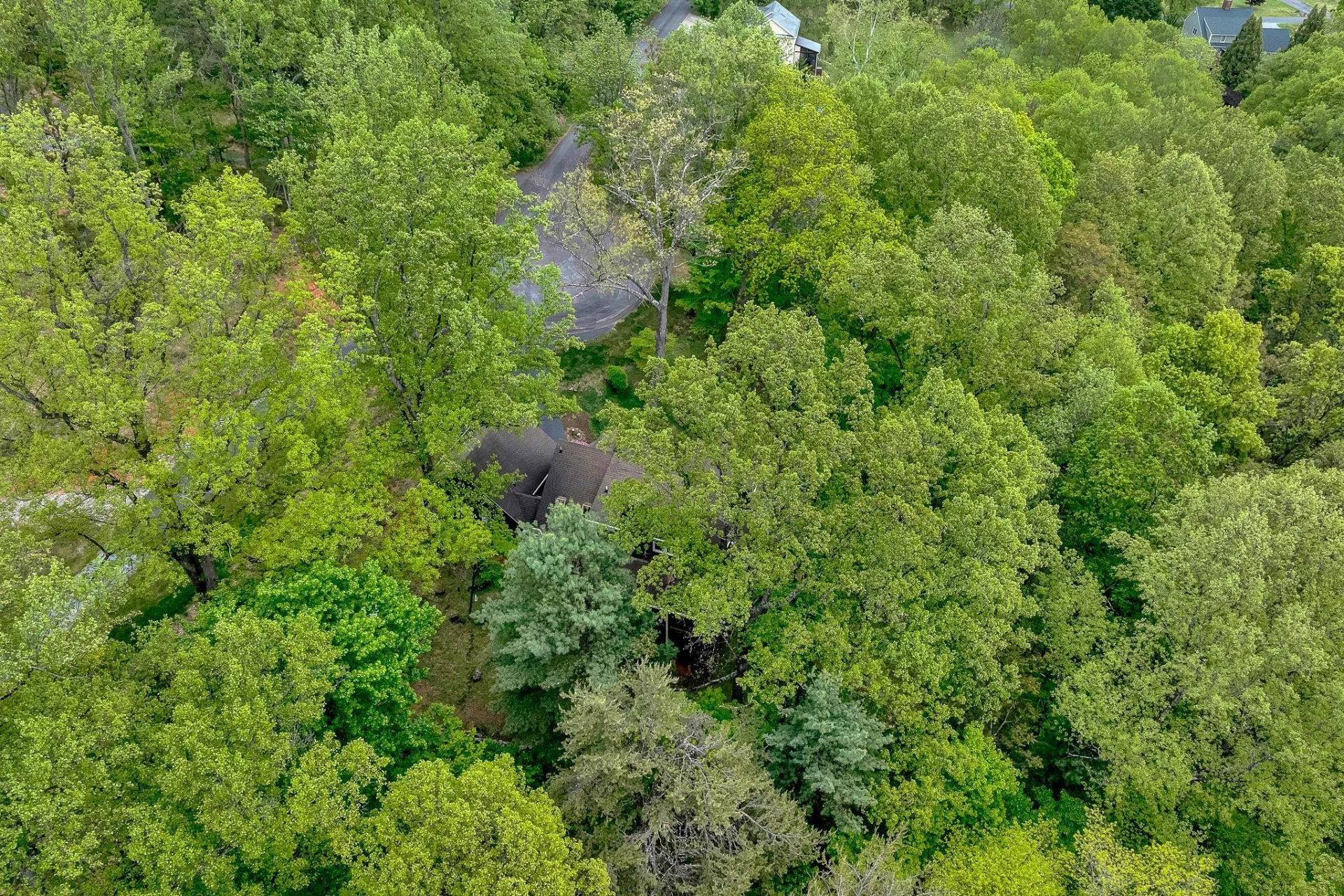 6658 Leffler LN - Photo 66
