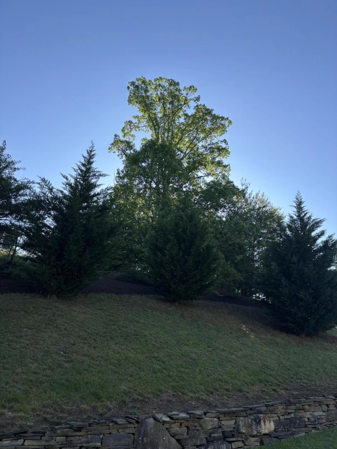 0 Stickley LN - Photo 5