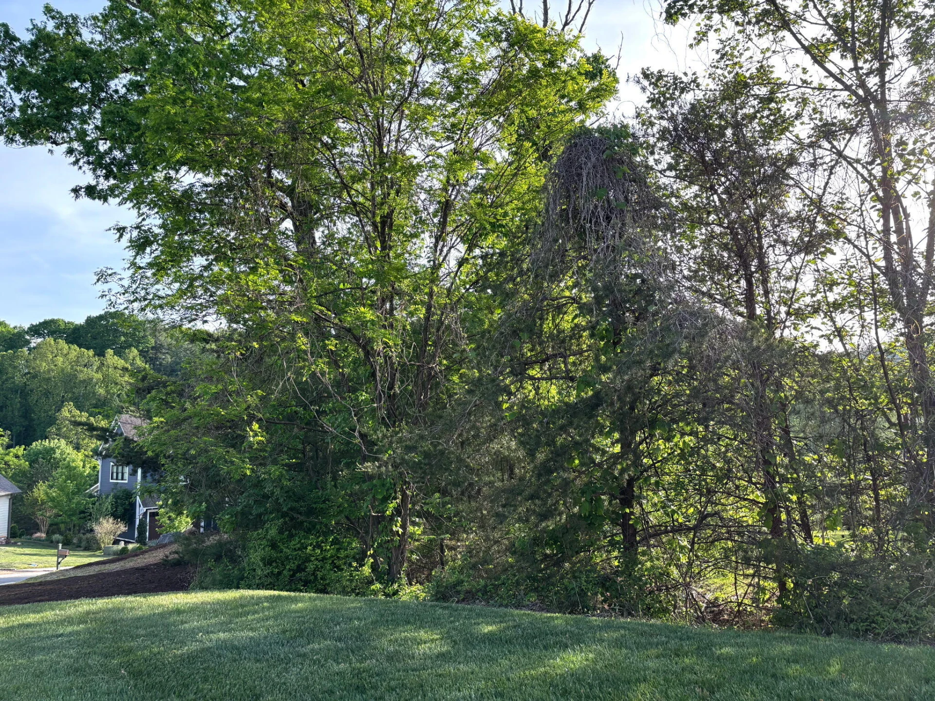 0 Stickley LN - Photo 8