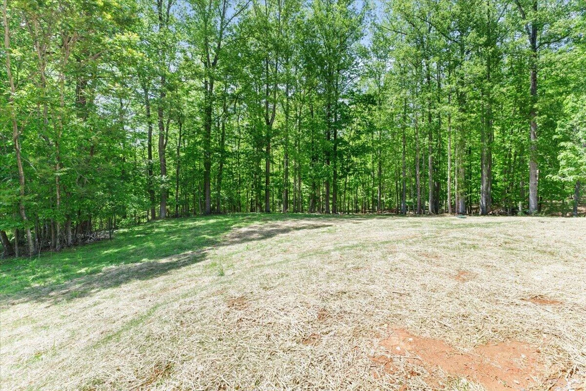106 Ridgemont CT - Photo 46