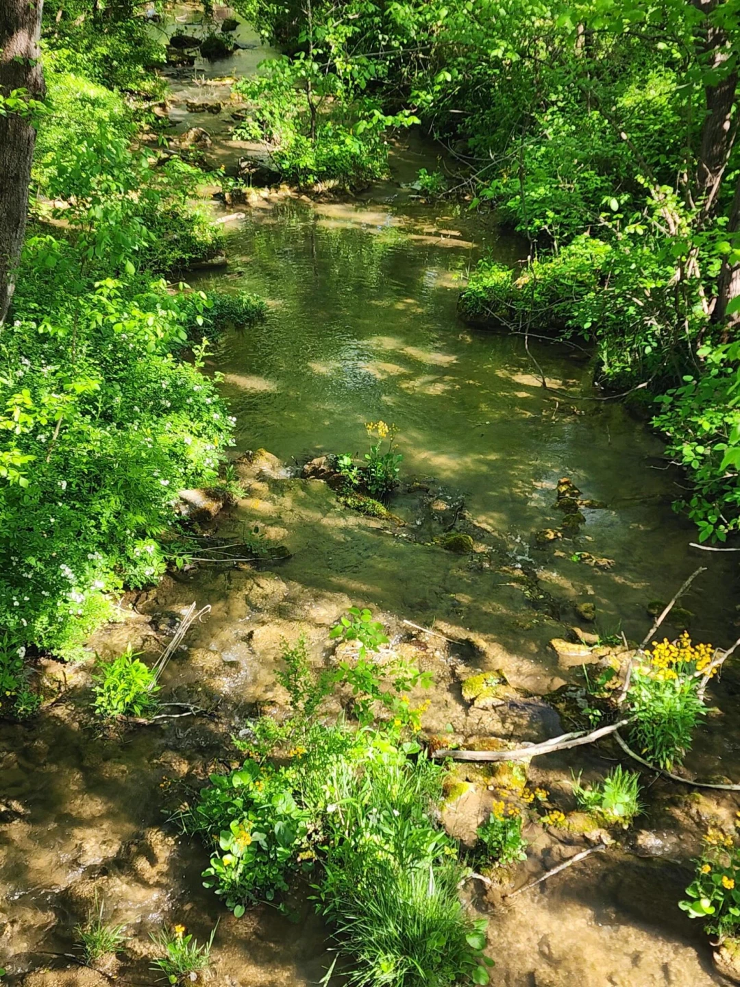 40 River RD - Photo 12