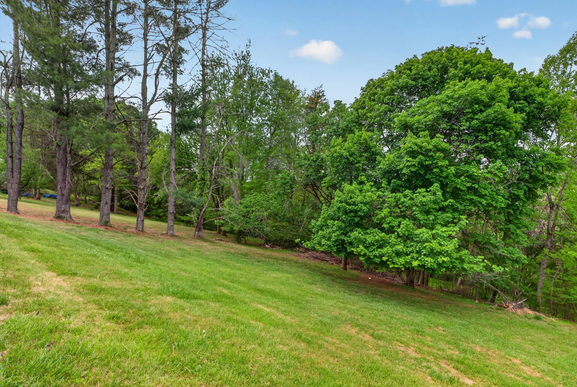 60 Little Mountain CIR - Photo 31