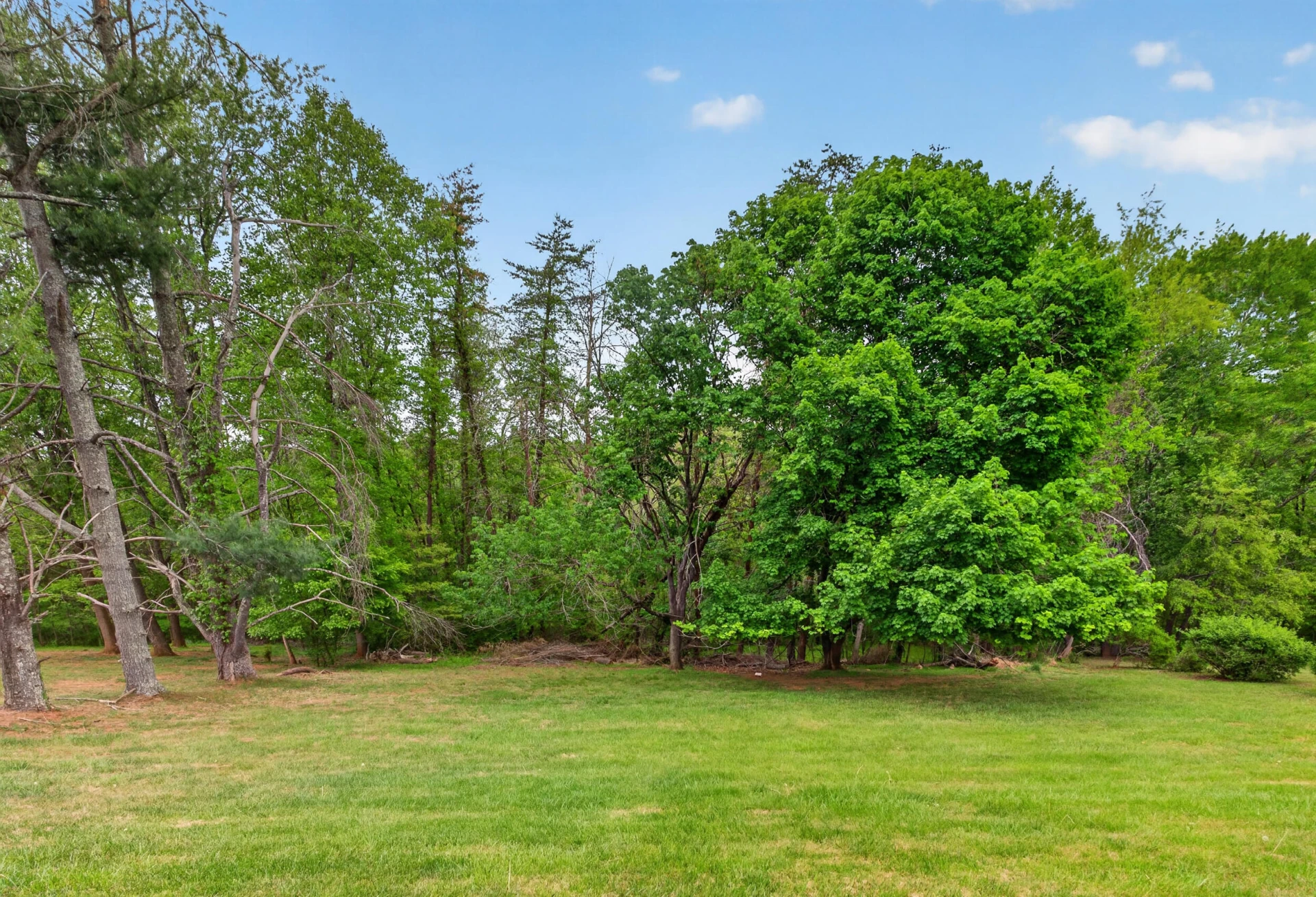 60 Little Mountain CIR - Photo 32