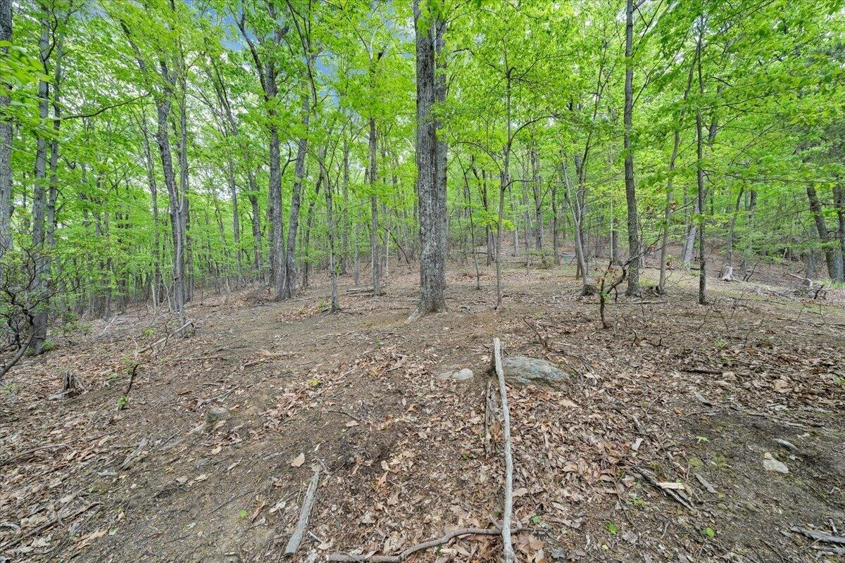 290 Silver Shadow RD - Photo 51
