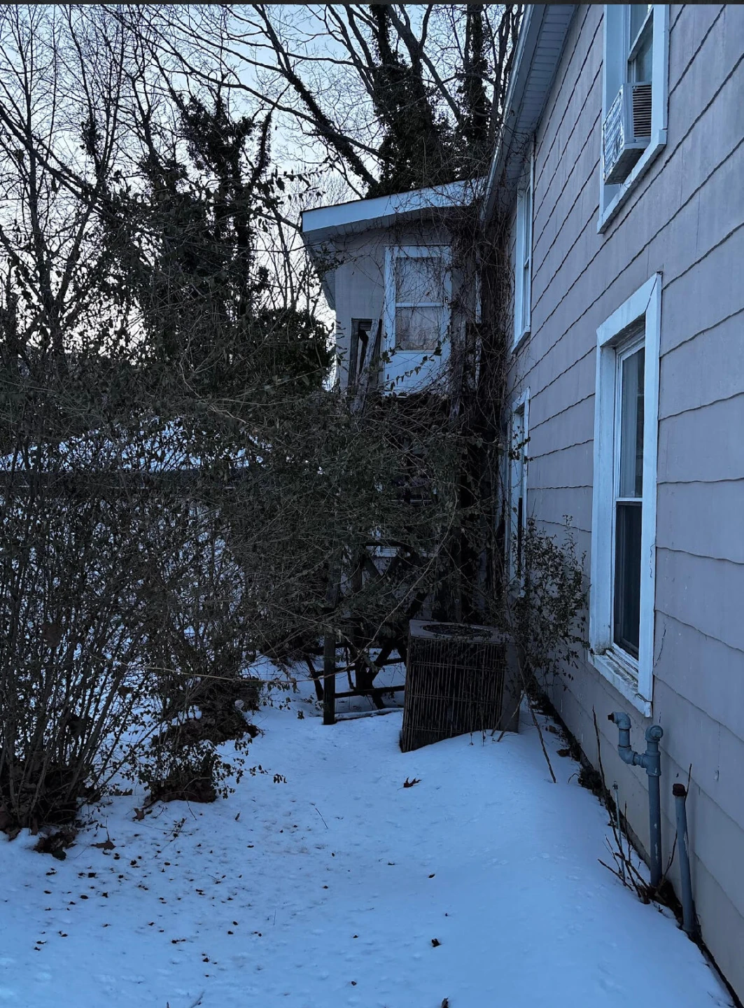 617 Rose AVE #2 - Photo 4