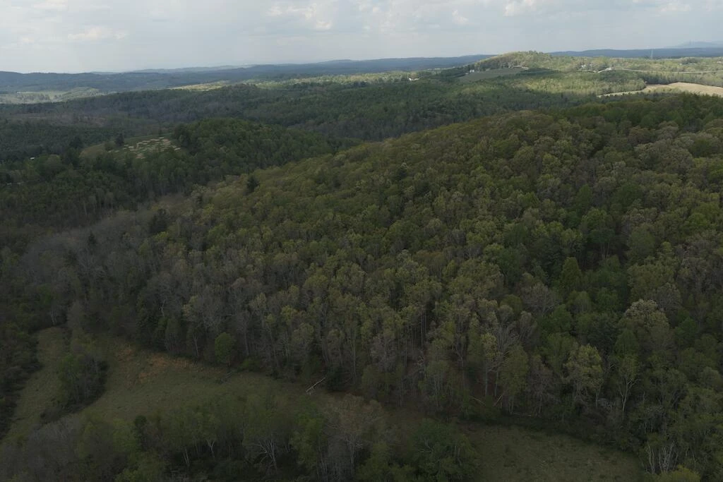 TBD Rock Hill Church RD SE - Photo 2