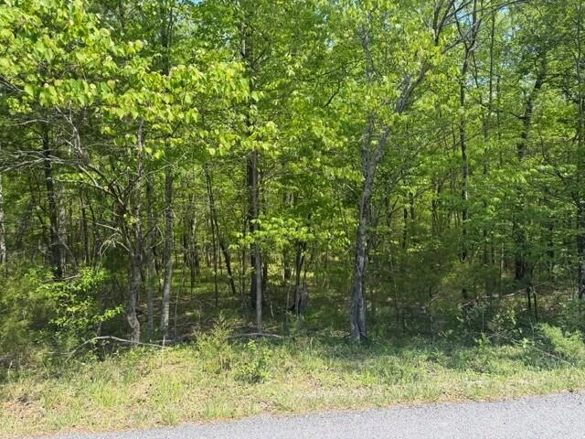 O Lees Gap RD