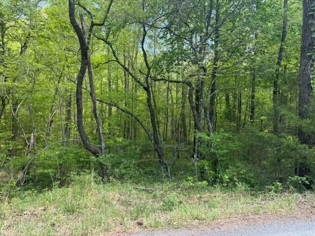 O Lees Gap RD - Photo 2