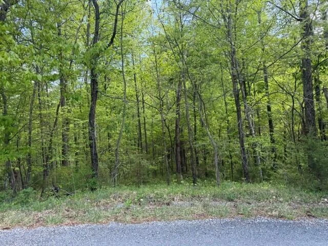 O Lees Gap RD - Photo 3
