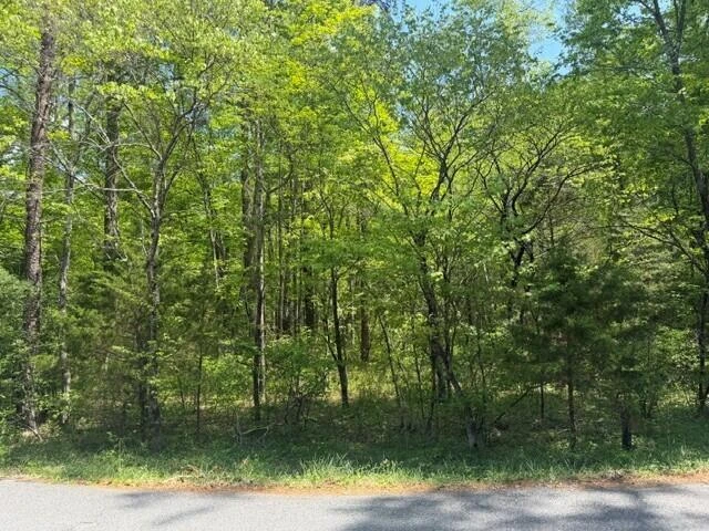 O Lees Gap RD - Photo 4