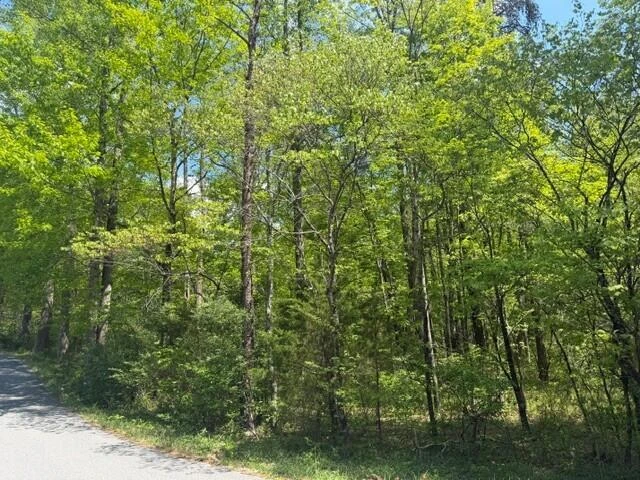 O Lees Gap RD - Photo 5