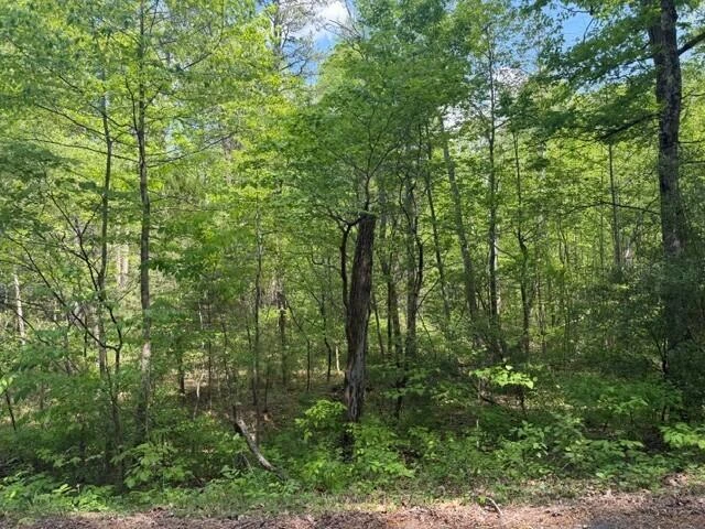 O Lees Gap RD - Photo 6