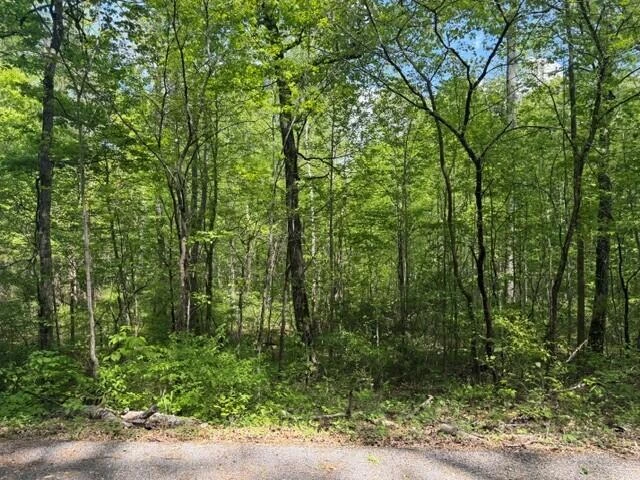 O Lees Gap RD - Photo 7