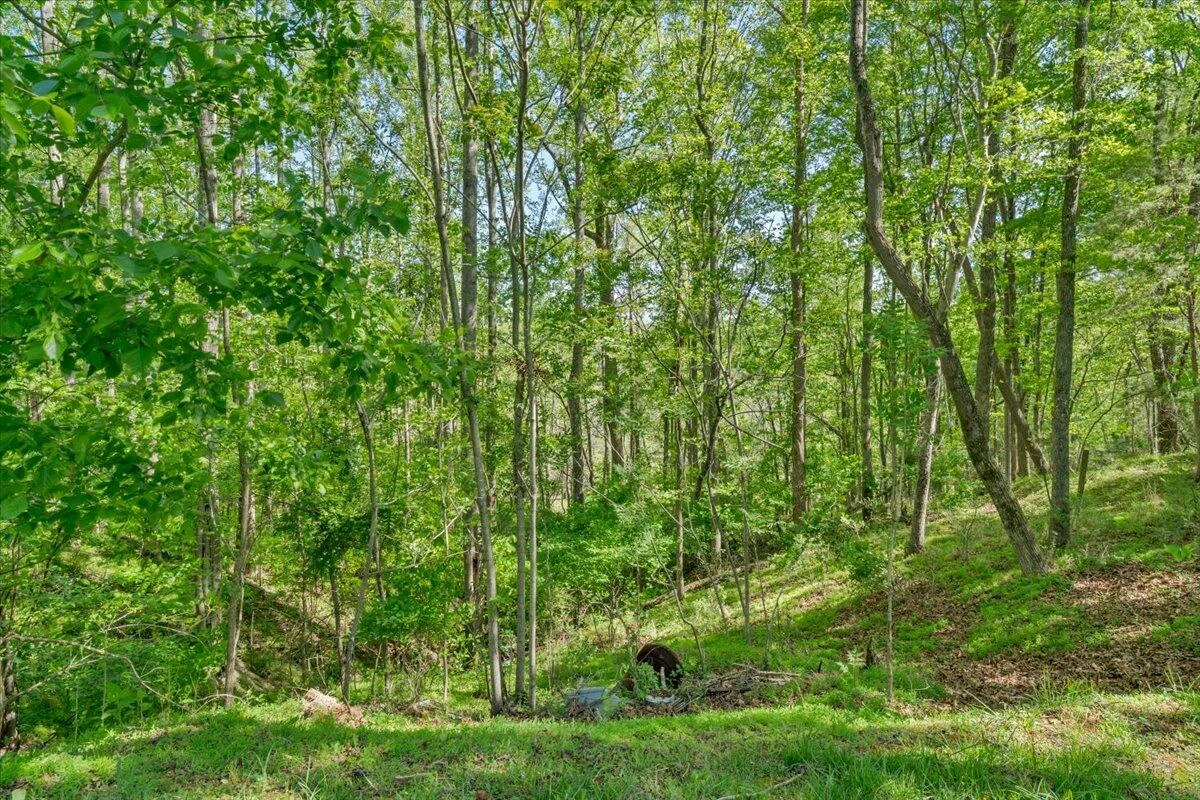 2728 Lipscomb RD - Photo 9
