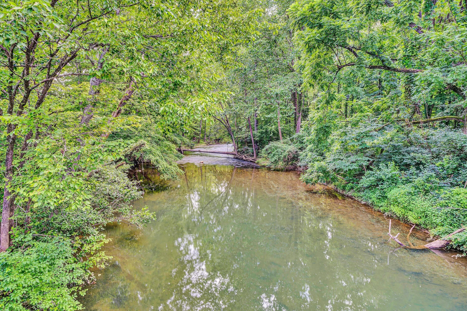 109 Berties Bottom LN - Photo 53