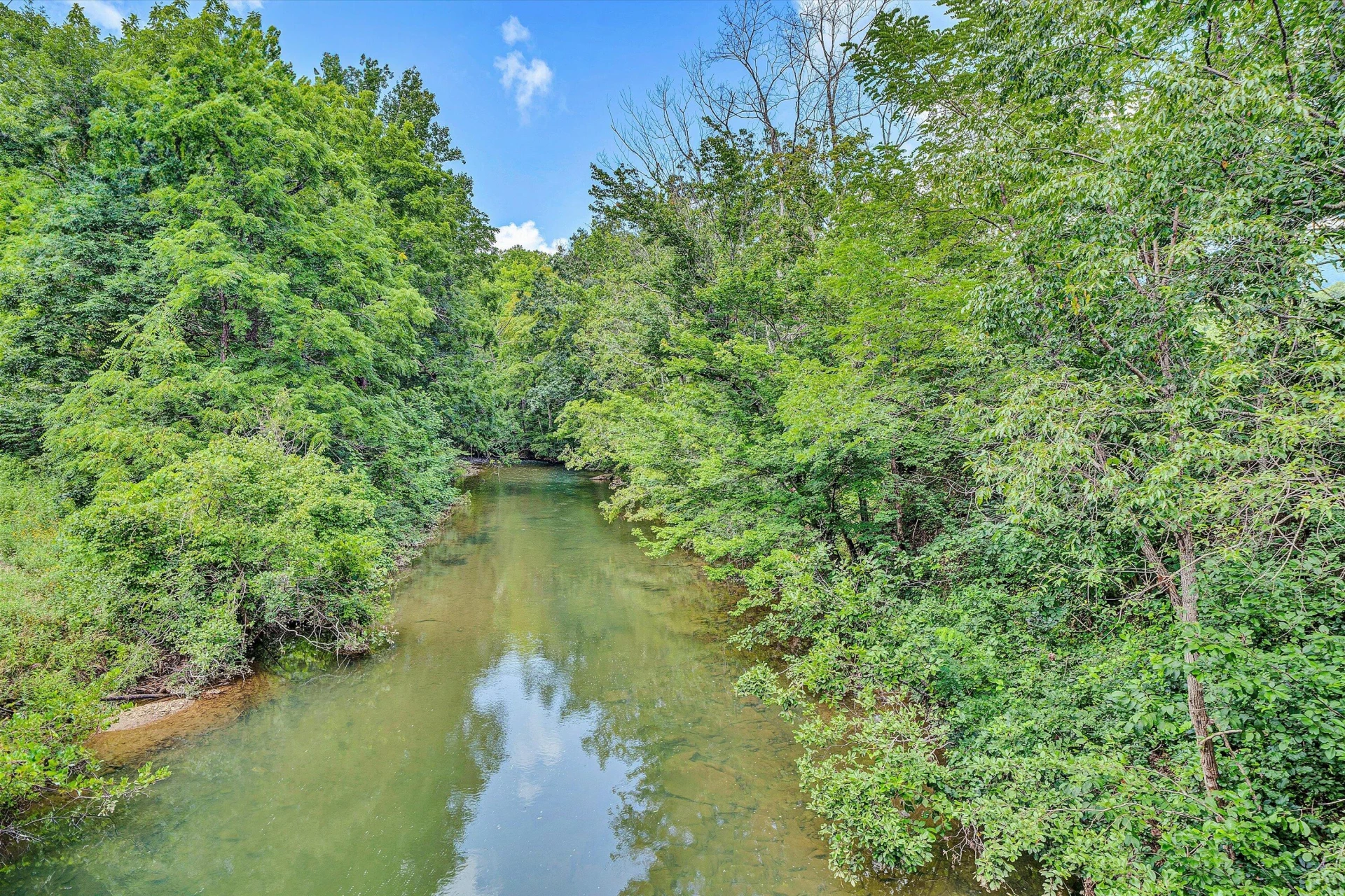 109 Berties Bottom LN - Photo 54