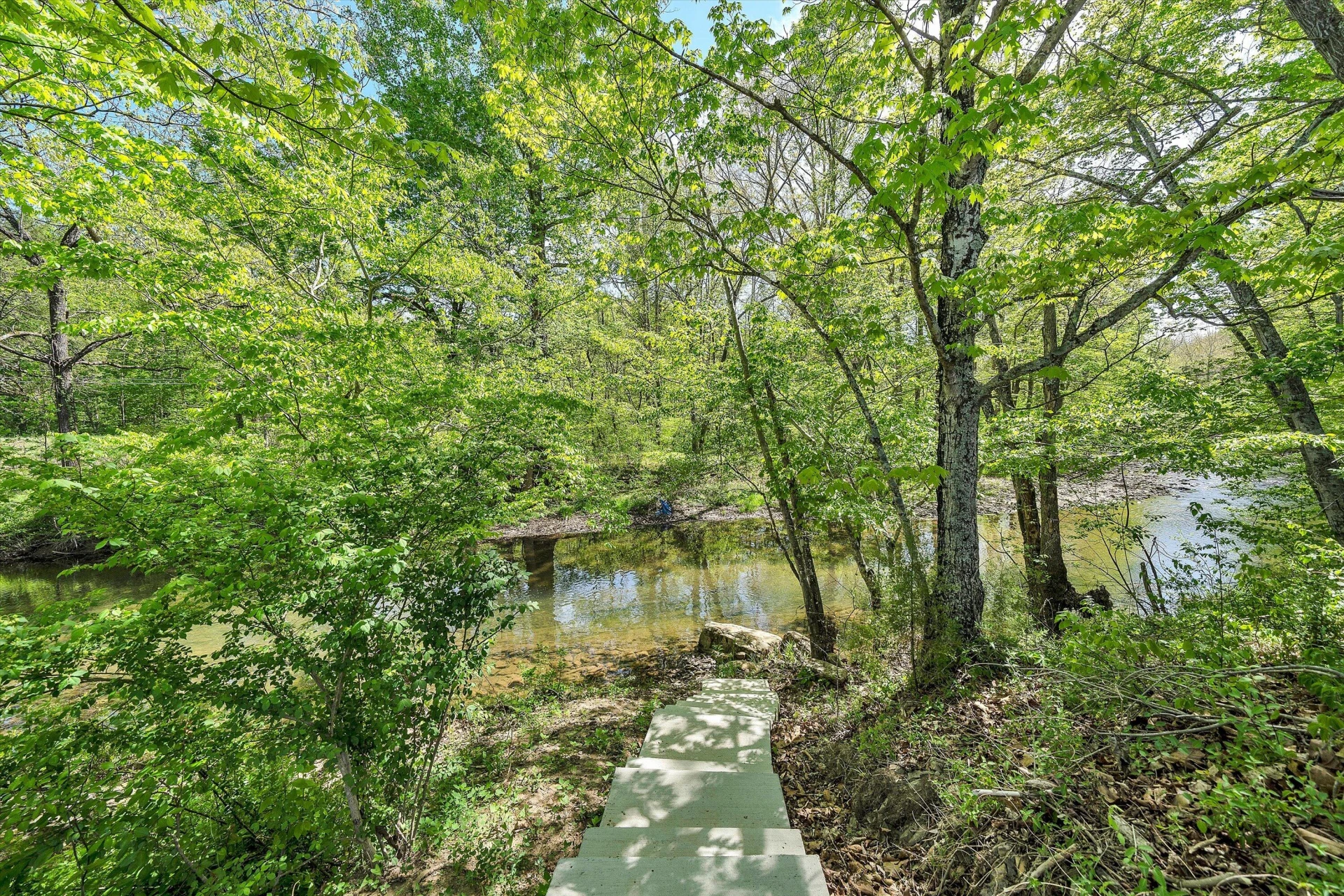 109 Berties Bottom LN - Photo 60