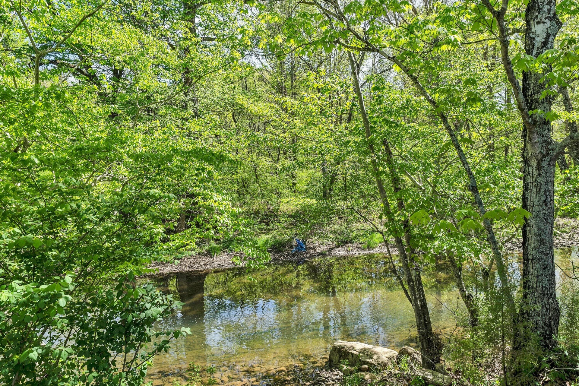 109 Berties Bottom LN - Photo 61